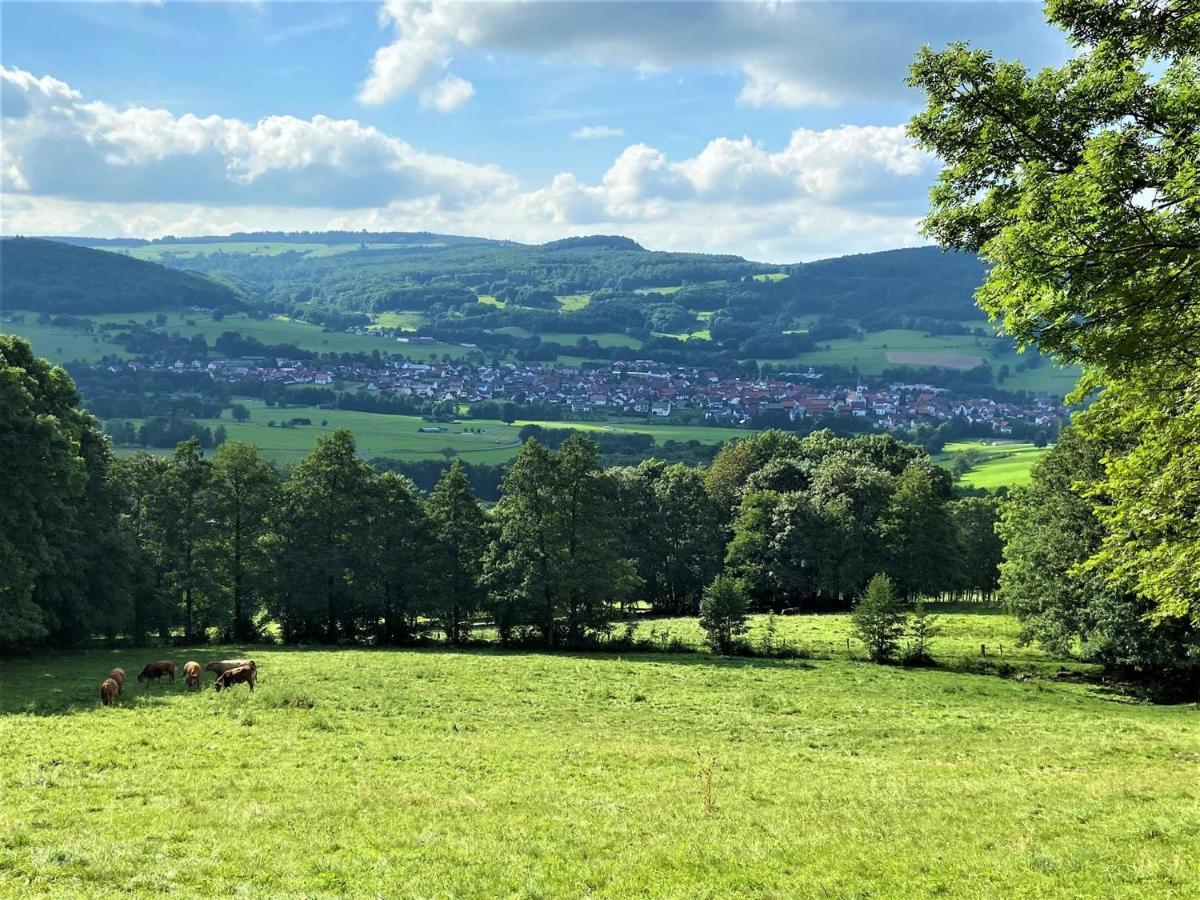Ferienwohnung Natur-Pur Ehrenberg  Екстер'єр фото